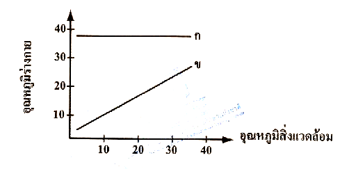 O-netC8